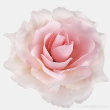 11cm Light Pink Open Rose